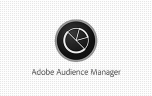 adobe audience manager