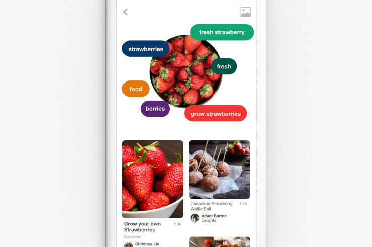 Pinterest adds visual search for elements in images and through your camera